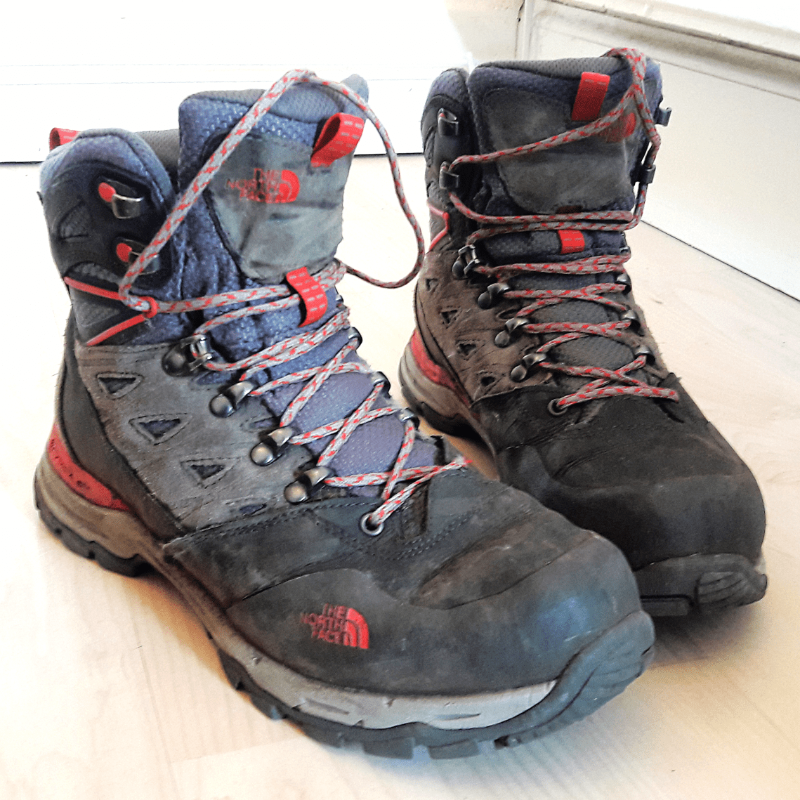 Aviary Photo_131663596699565648.png